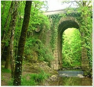 The Bocage in the Vendee