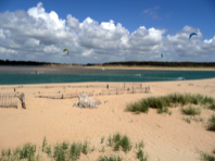 Kite Flying at the beach