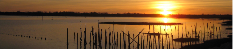 Sunset in the Vendee